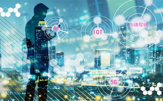 智能賦能 人工智能應(yīng)用軟件開發(fā)驅(qū)動(dòng)中國經(jīng)濟(jì)高質(zhì)量發(fā)展